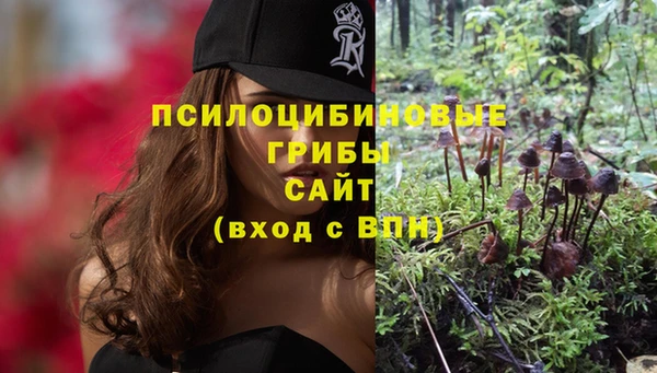 мяу мяу мука Осинники