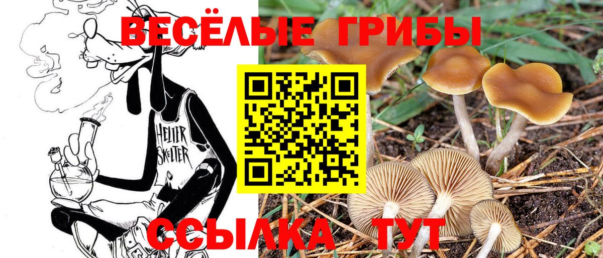 Галлюциногенные грибы ЛСД  Вход с VPN  Псилоцибиновые грибы Psilocybe  Янаул 